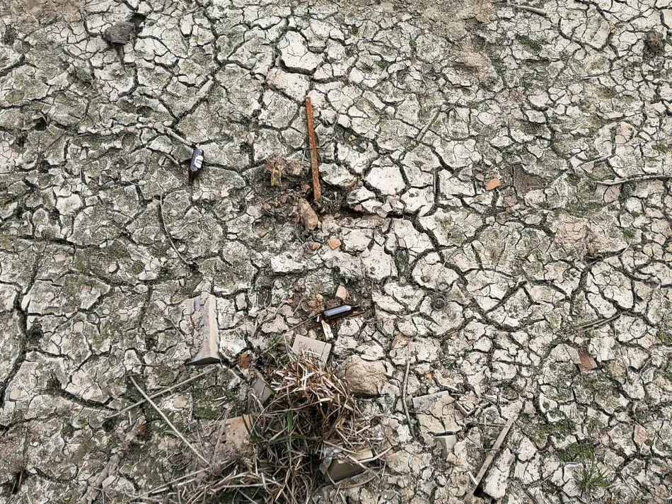 Foto 3 - M&aacute;s de dos meses despu&eacute;s de la rotura de la pesquera, el Tormes muestra su peor cara