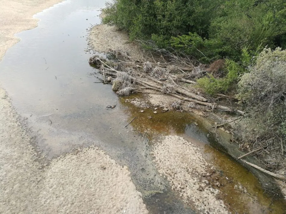 Foto 2 - M&aacute;s de dos meses despu&eacute;s de la rotura de la pesquera, el Tormes muestra su peor cara
