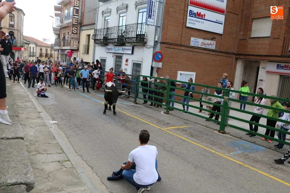 Foto 10 - El cuarto Toro de Caj&oacute;n llena de emoci&oacute;n las calles de Vitigudino  