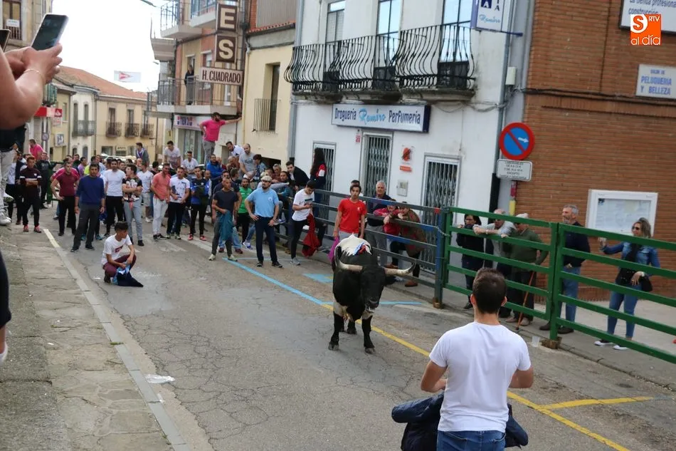 Foto 8 - El cuarto Toro de Caj&oacute;n llena de emoci&oacute;n las calles de Vitigudino  