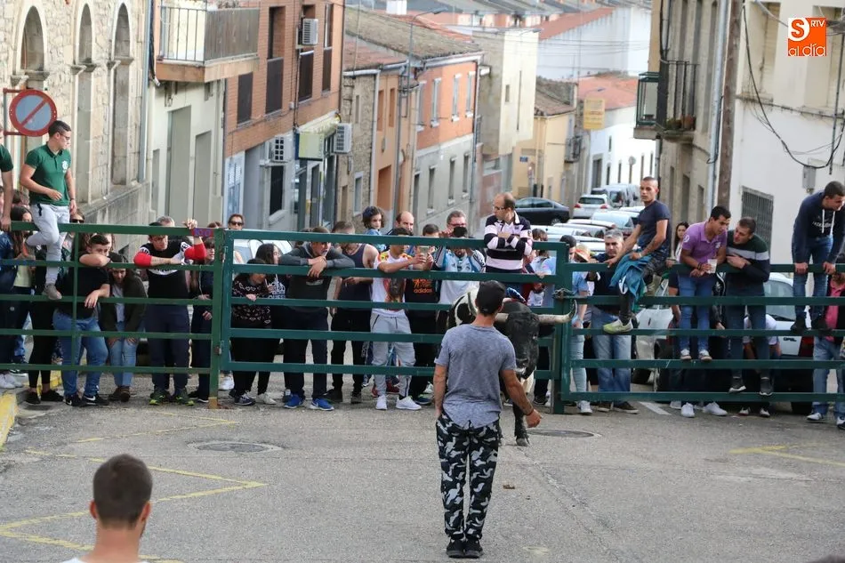 Foto 11 - El cuarto Toro de Caj&oacute;n llena de emoci&oacute;n las calles de Vitigudino  