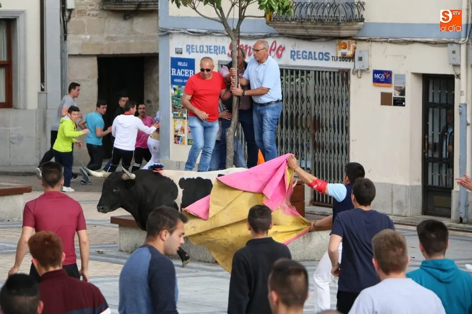 Foto 7 - El cuarto Toro de Caj&oacute;n llena de emoci&oacute;n las calles de Vitigudino  