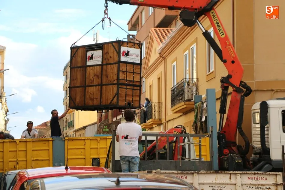 El cuarto Toro de Cajón llena de emoción las calles de Vitigudino  