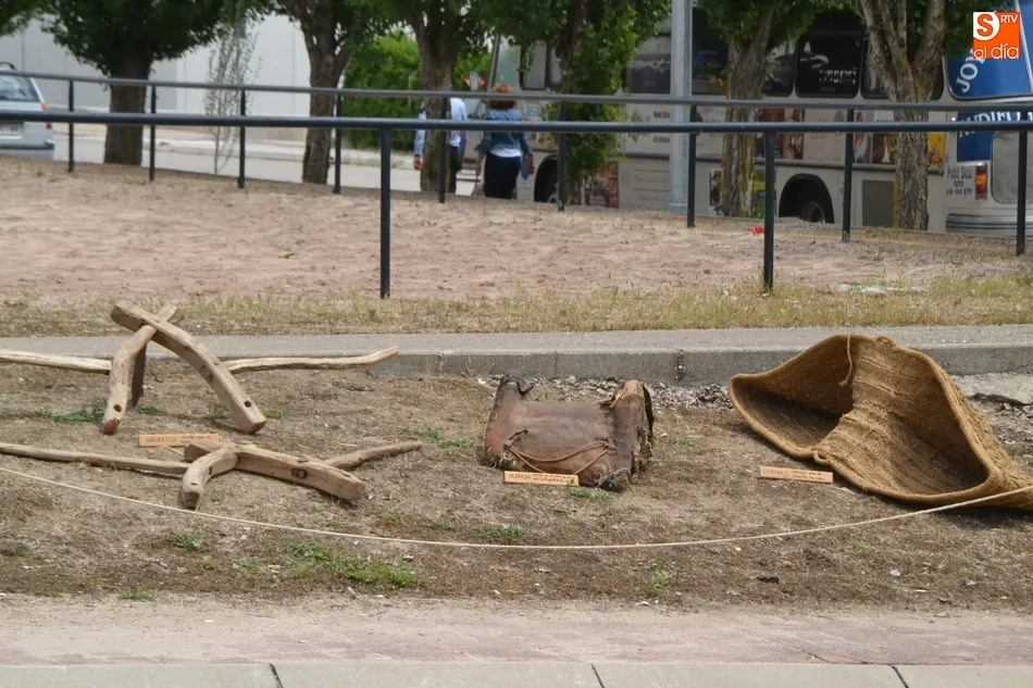 Foto 4 - Perros y aves rapaces gu&iacute;an la ma&ntilde;ana dominical de la Feria de Mayo  