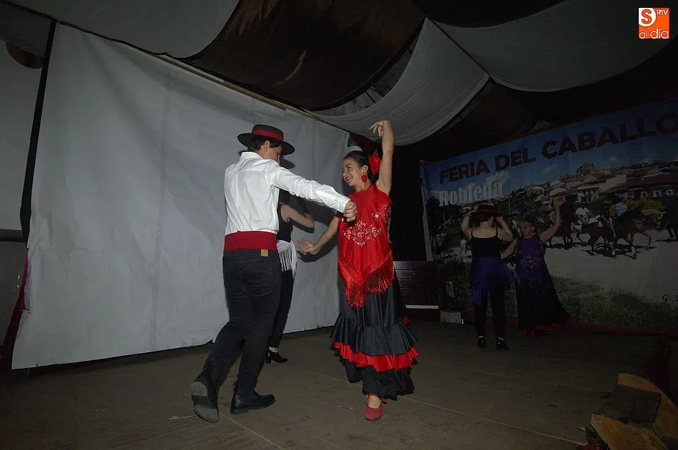 Foto 7 - El mal tiempo no puede con la IX Feria del Caballo de Robleda  
