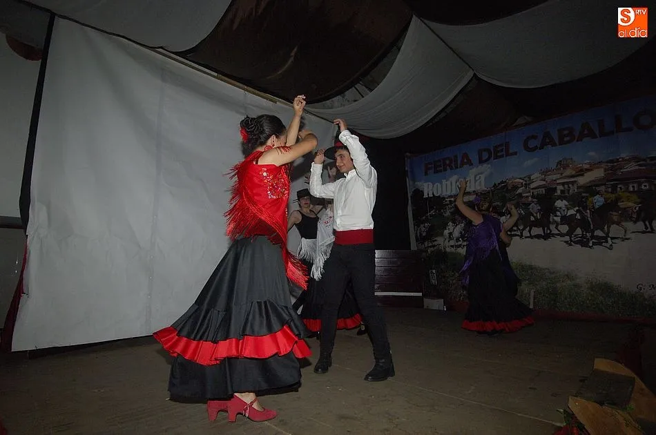 Foto 6 - El mal tiempo no puede con la IX Feria del Caballo de Robleda  