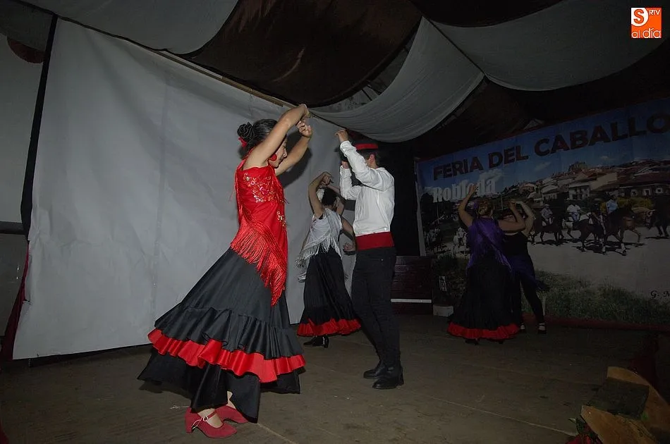 Foto 5 - El mal tiempo no puede con la IX Feria del Caballo de Robleda  