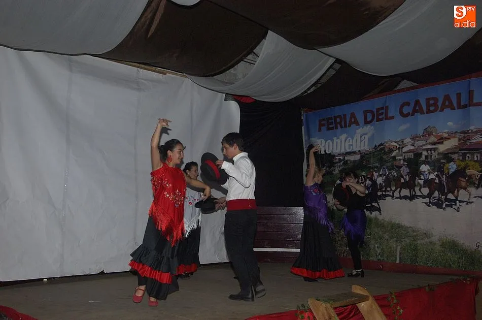 Foto 3 - El mal tiempo no puede con la IX Feria del Caballo de Robleda  