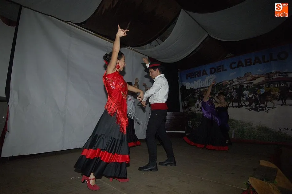 Foto 2 - El mal tiempo no puede con la IX Feria del Caballo de Robleda  
