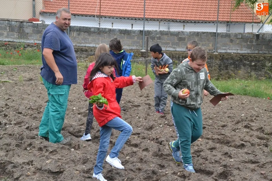Los escolares mirobrigenses se adentran en el Huerto de Cáritas en Torroba  
