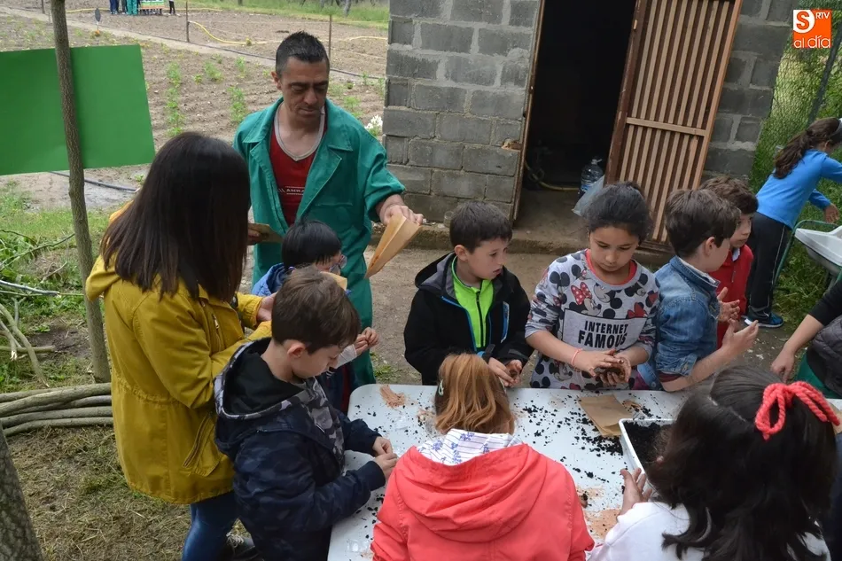 Foto 9 - Los escolares mirobrigenses se adentran en el Huerto de C&aacute;ritas en Torroba  