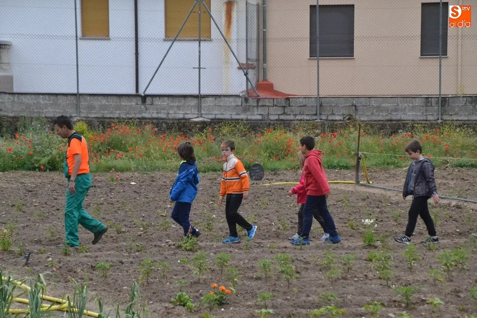 Foto 7 - Los escolares mirobrigenses se adentran en el Huerto de C&aacute;ritas en Torroba  