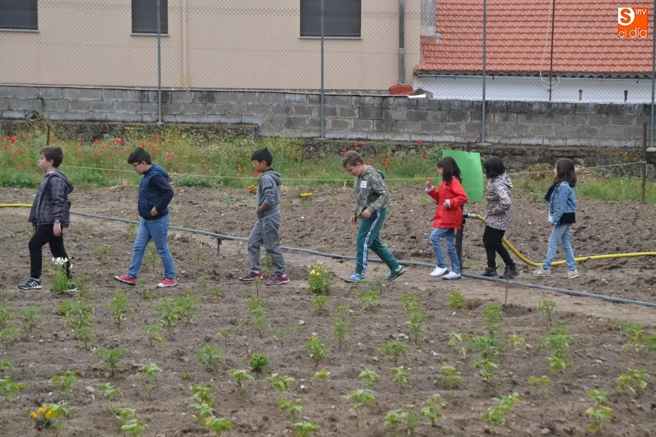 Foto 6 - Los escolares mirobrigenses se adentran en el Huerto de C&aacute;ritas en Torroba  