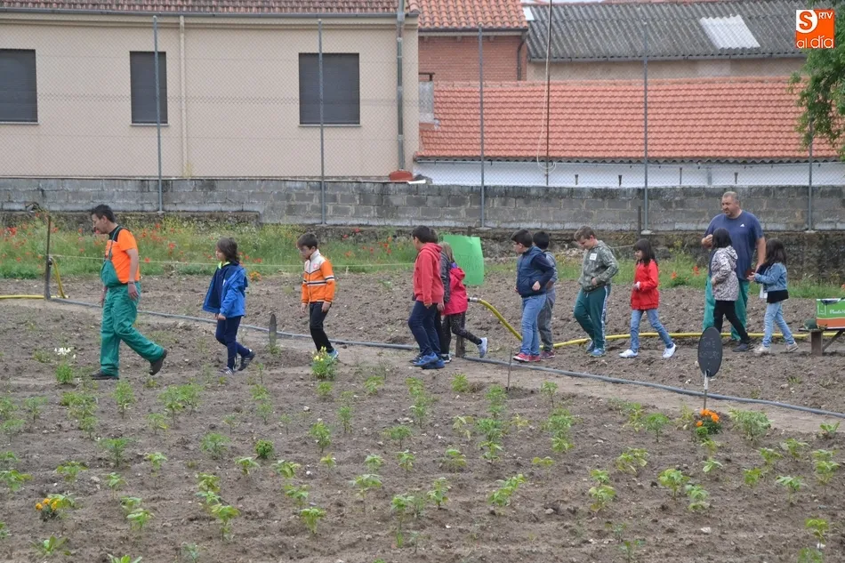 Foto 8 - Los escolares mirobrigenses se adentran en el Huerto de C&aacute;ritas en Torroba  