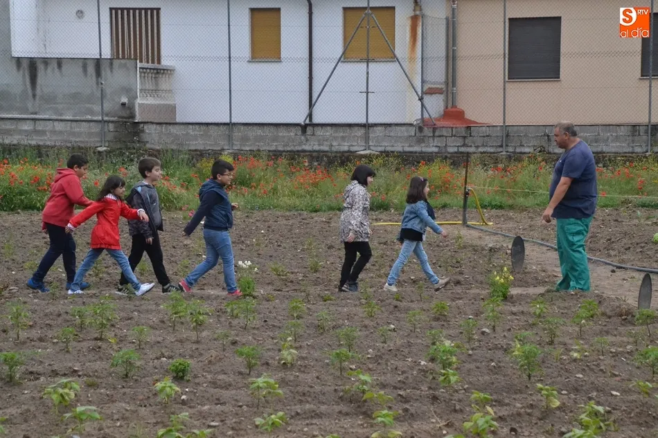 Foto 3 - Los escolares mirobrigenses se adentran en el Huerto de C&aacute;ritas en Torroba  