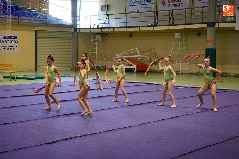 Foto 7 - La escuela de gimnasia r&iacute;tmica despide el curso con una din&aacute;mica exhibici&oacute;n