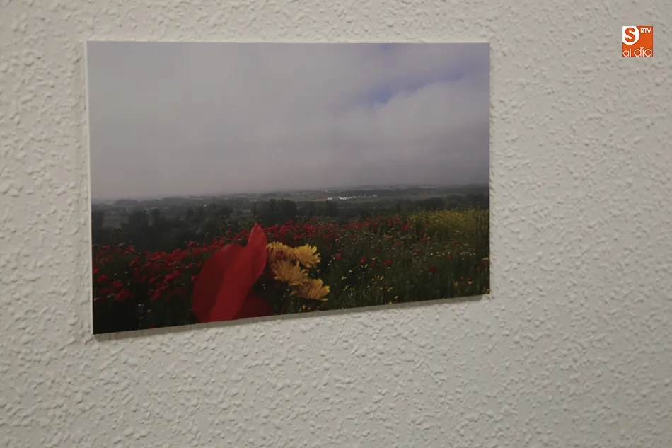 Foto 8 - Cabrerizos estrena la exposici&oacute;n &lsquo;Paisaje y rincones urbanos&rsquo; acompa&ntilde;ada de varias entregas...