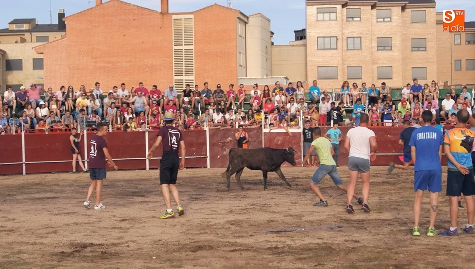 La capea de vaquillas al estilo tradicional es uno de los atractivos del programa
