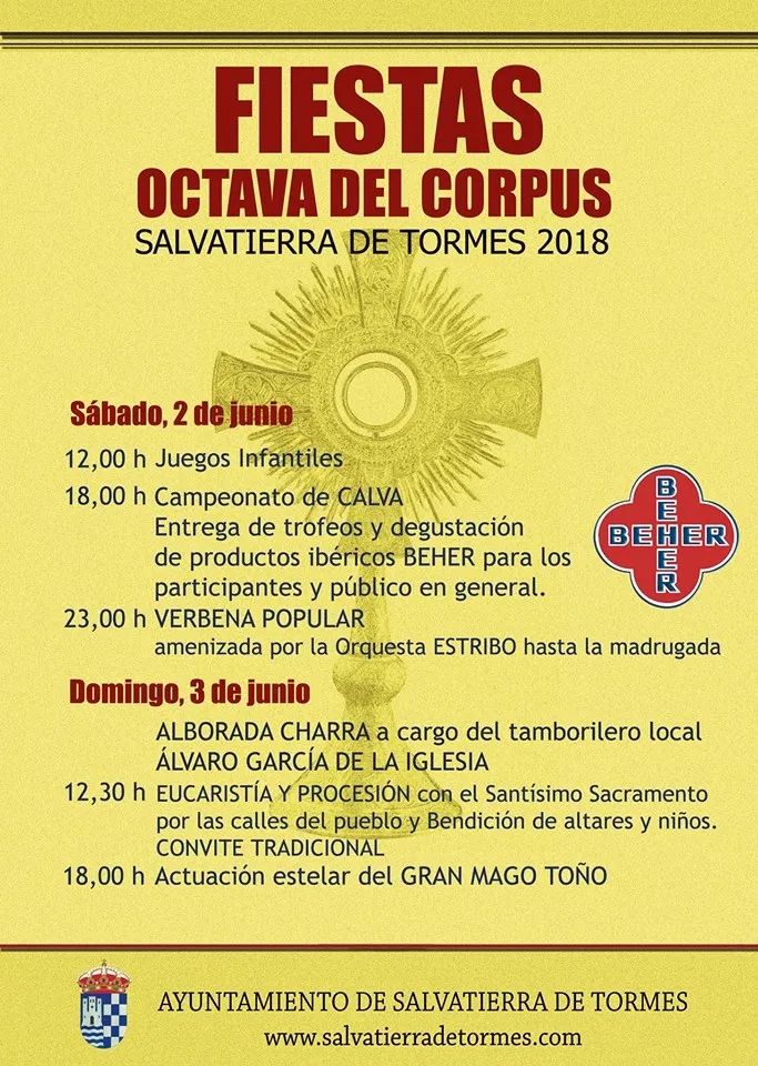 Foto 2 - Todo listo para las fiestas del Corpus de Salvatierra