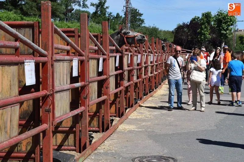 El calor marcó la edición del pasado año