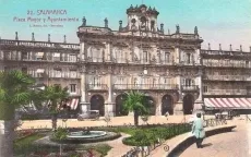 Foto 2 - Palmeras en la Plaza Mayor