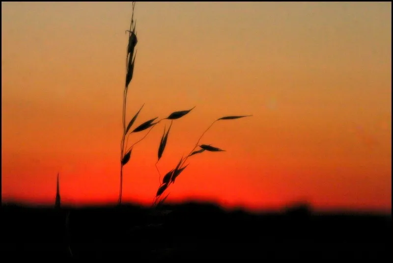 Foto 5 - Amanecer y atardecer