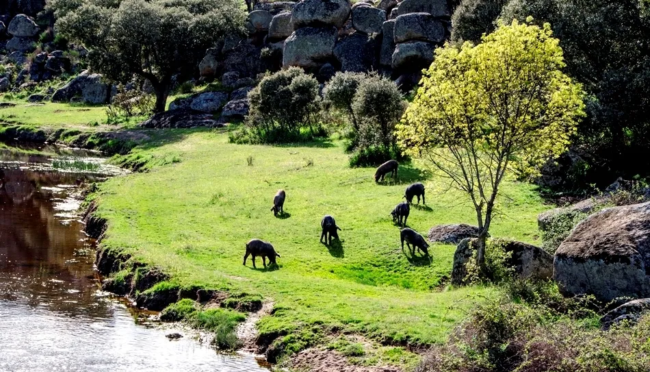 El encanto de la tranquilidad