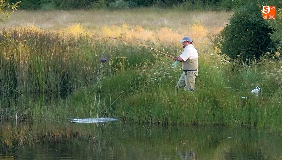 Las mejores horas de la pesca del cangrejo están al amanecer y al ocaso, especialmente en días de calor
