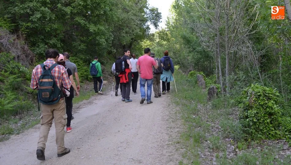 Marcha de senderismo por el Alto Aravalle