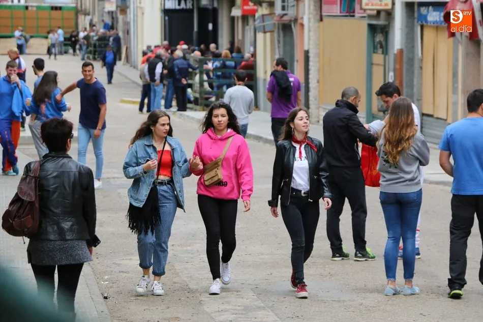 Foto 4 - Un novillo escapa del recorrido en el primer encierro del Corpus de Vitigudino  