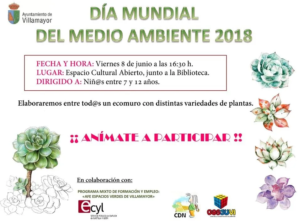 Foto 2 - Los ni&ntilde;os elaborar&aacute;n un ecomuro con distintas plantas para celebrar el D&iacute;a Mundial del Medio...