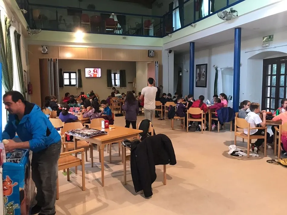 Foto 7 - Los alumnos del colegio Padres Trinitarios realizan una excursi&oacute;n a Olmedo