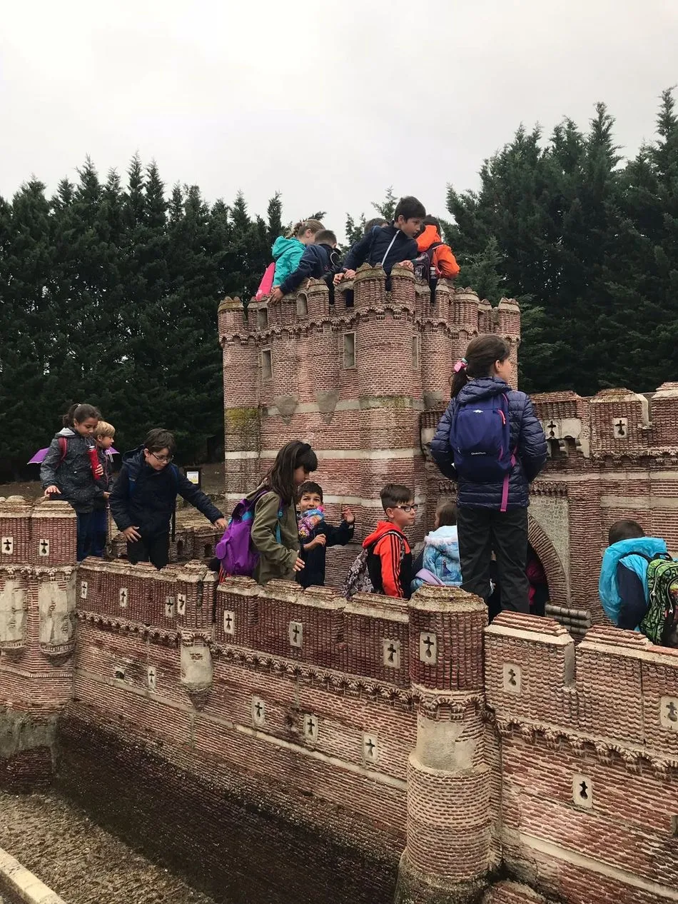 Foto 6 - Los alumnos del colegio Padres Trinitarios realizan una excursi&oacute;n a Olmedo