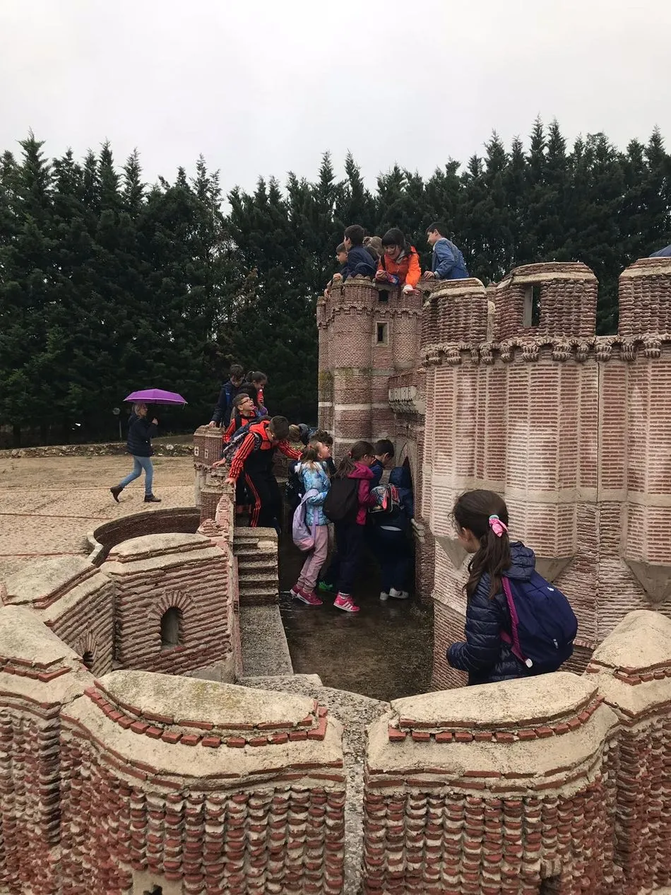 Foto 5 - Los alumnos del colegio Padres Trinitarios realizan una excursi&oacute;n a Olmedo