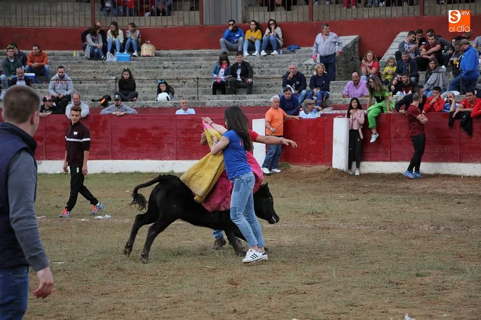 Foto 6 - Buen juego del ganado en la capea y en la exhibici&oacute;n de colocaci&oacute;n de anillas  