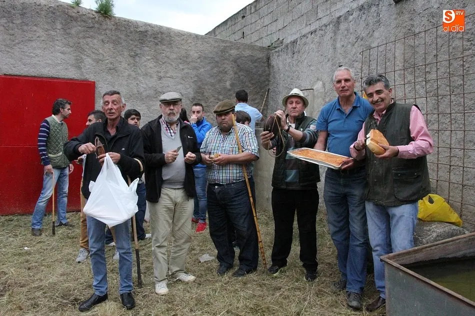 Foto 5 - Buen juego del ganado en la capea y en la exhibici&oacute;n de colocaci&oacute;n de anillas  