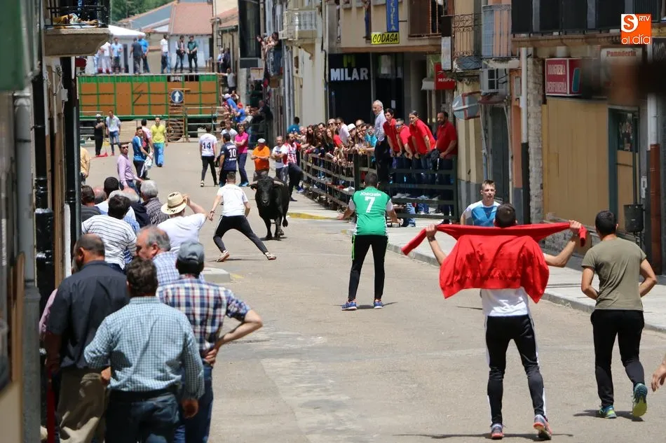 Foto 9 - Multitudinario encierro de s&aacute;bado de Corpus en Vitigudino  
