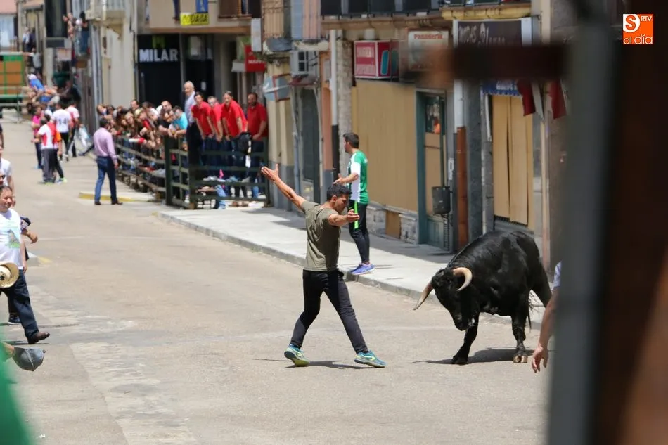Foto 8 - Multitudinario encierro de s&aacute;bado de Corpus en Vitigudino  
