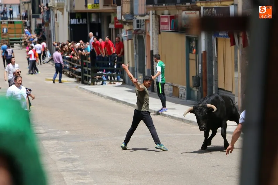 Foto 7 - Multitudinario encierro de s&aacute;bado de Corpus en Vitigudino  