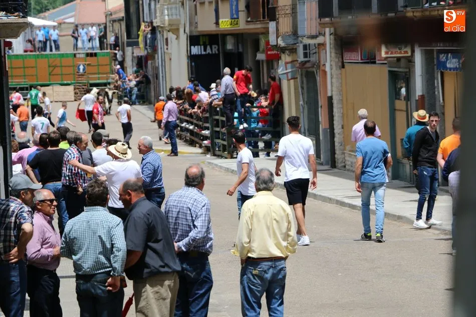 Multitudinario encierro de sábado de Corpus en Vitigudino  
