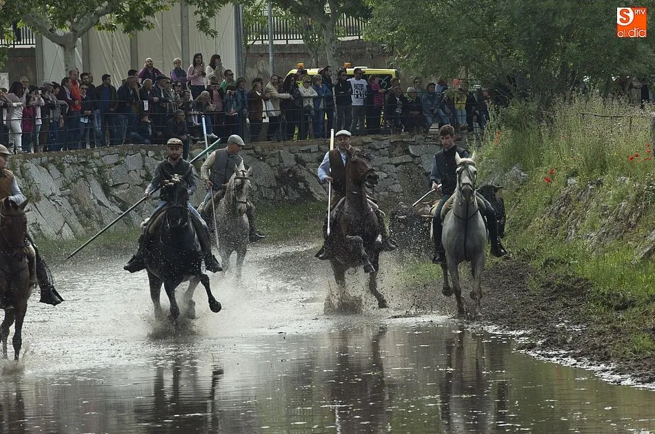 Foto 11 - Las recientes lluvias dejan en manos casi exclusivas de los caballistas la conducci&oacute;n de las reses ...