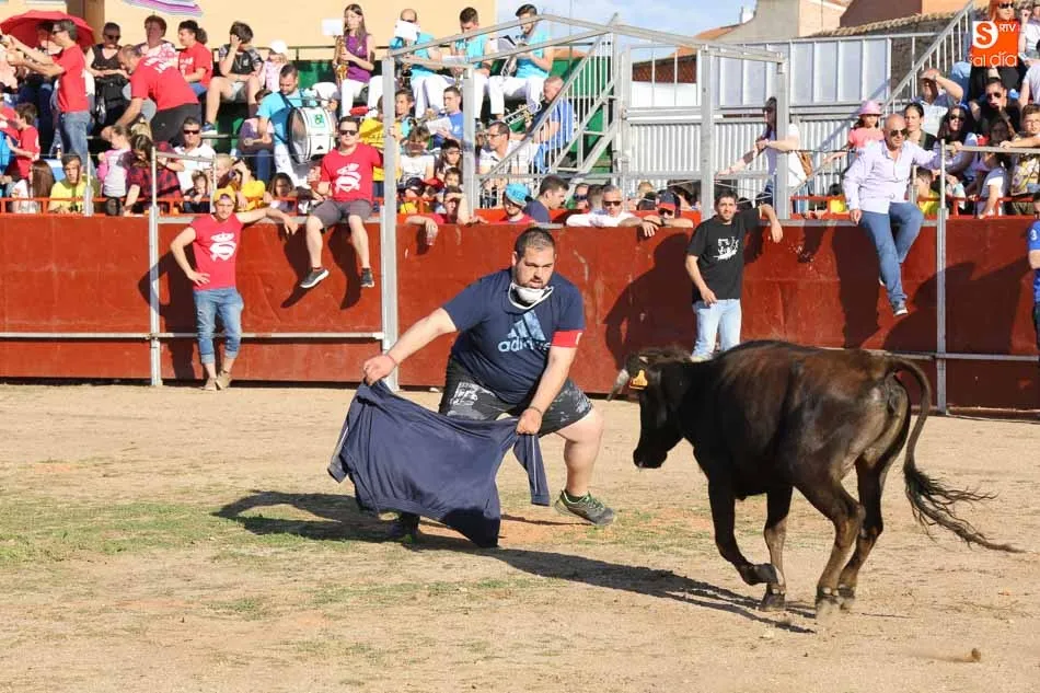 Foto 5 - La plaza port&aacute;til re&uacute;ne a cientos de personas&nbsp;para celebrar la&nbsp;tradicional&nbsp;capea de vaquillas...