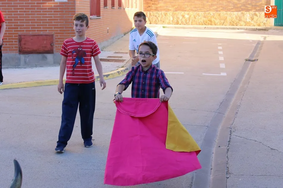Foto 4 - El encierro infantil corona el s&aacute;bado de Corpus de Aldeatejada &nbsp;  