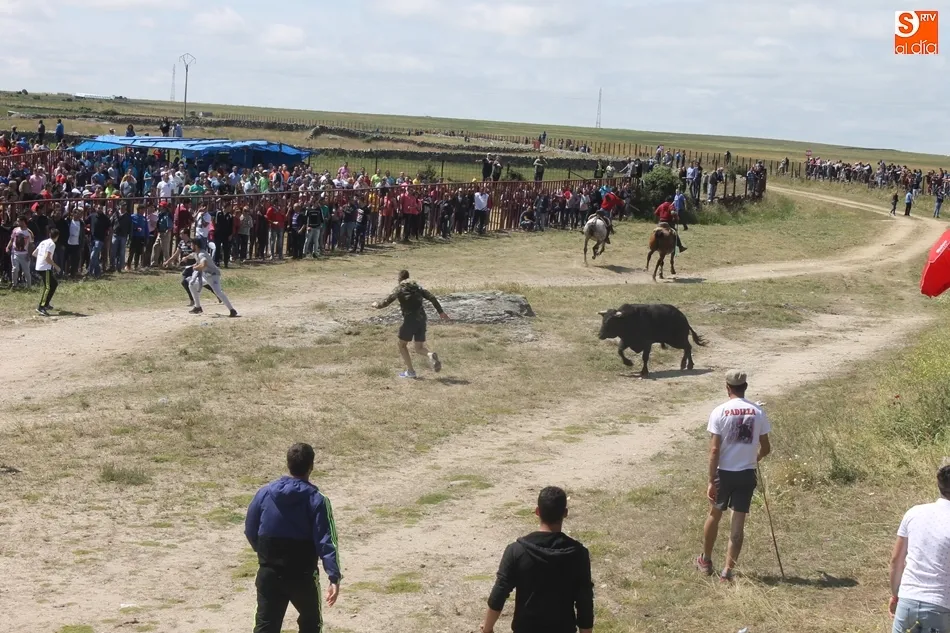 Foto 6 - Vibrantes y multitudinarios espantos en Ledesma