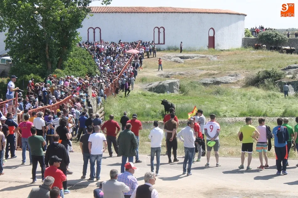 Foto 8 - Vibrantes y multitudinarios espantos en Ledesma