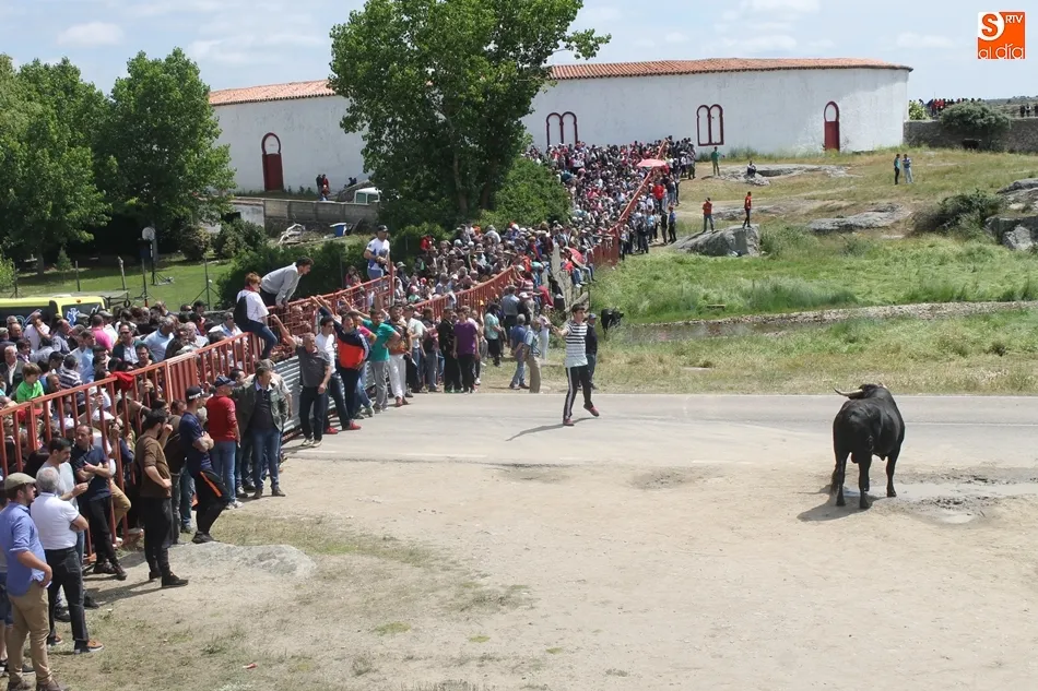 Foto 3 - Vibrantes y multitudinarios espantos en Ledesma