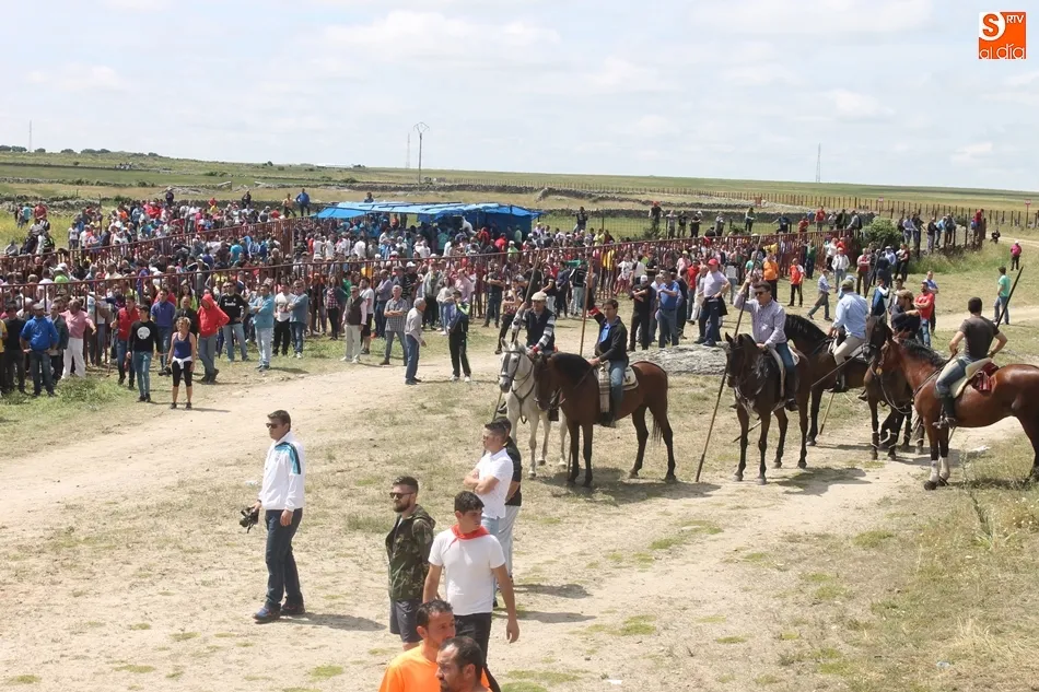 Foto 5 - Vibrantes y multitudinarios espantos en Ledesma
