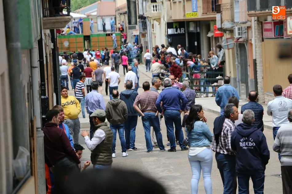 Foto 7 - Vibrante encierro de domingo de Corpus en Vitigudino con m&aacute;s de una docena de reses en las calles  