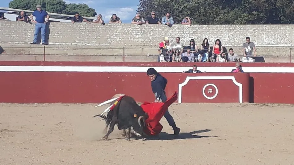 Foto 11 - Una paella de 500 raciones para despedir el Corpus en El Cubo de Don Sancho  
