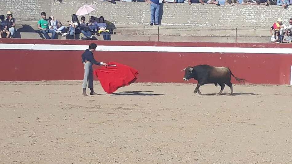Foto 6 - Una paella de 500 raciones para despedir el Corpus en El Cubo de Don Sancho  